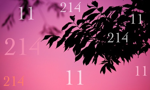 Image for 'Continuing to See 1:11, 11:11, and Birthday' numerology answer