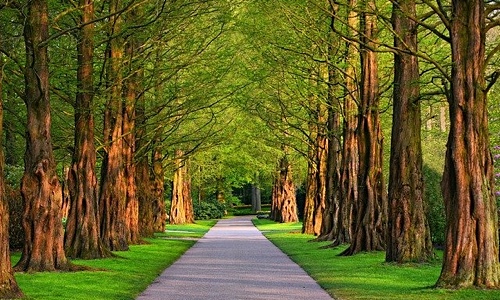 Image for 'Ahead on My Path' numerology answer