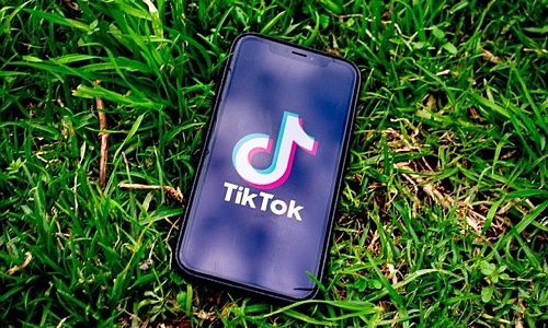 Image for 'Famous on TikTok' numerology answer