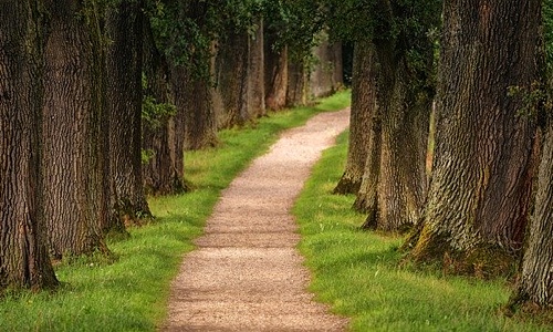 Image for 'Finally on the Right Path' numerology answer