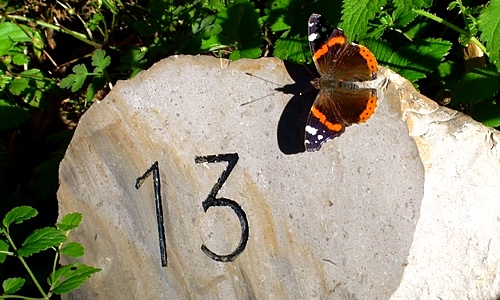 Image for 'Frequently I See 13 Number' numerology answer