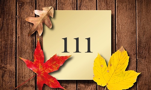 Image for 'Seeing 111 All the Time' numerology answer