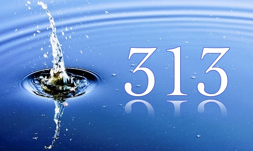 Image for 'The Reflect Number 313' numerology answer