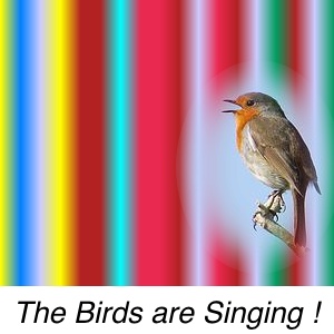 birds are singing numerology colors